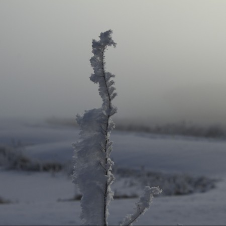  Foto:Kerstin Martinsson